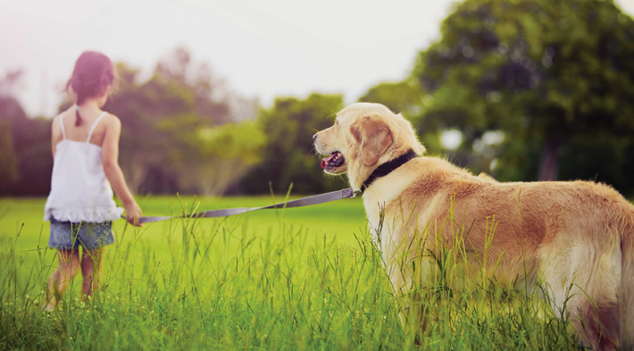 desparasitar-mascotas