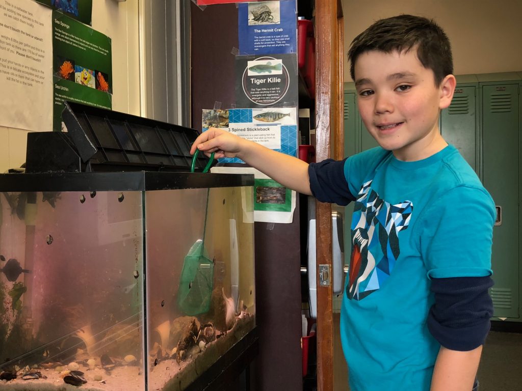 peceras niños