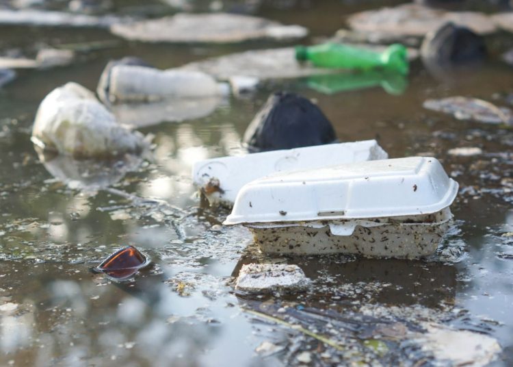 c47b3a14-5a34-48fb-942d-73ac5cc61a5f-750x536